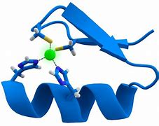 Image result for Protein Motif