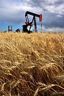 Image result for Oil Field Pump Jack