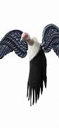 Image result for Vulture Spirit