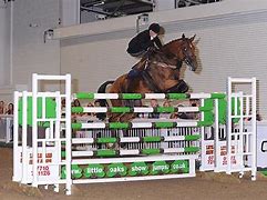 Image result for Side Saddle Show Jumping