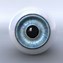 Image result for Human Eyeball