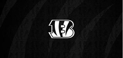 Image result for Cincinnati Bengals Logo Black and White