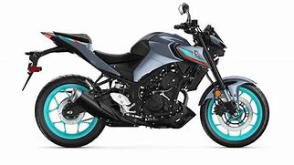 Image result for Harley-Davidson 300 Cc Motorcycle