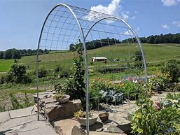 Image result for Hog Wire Trellis