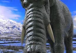 Image result for Ice Age Mammals