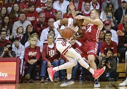 Image result for Badgers in Indiana