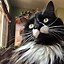 Image result for Chonky Tuxedo Cat