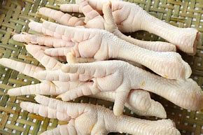 Image result for Chicken Feet Bones