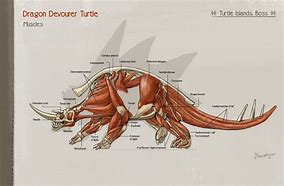 Image result for Turtle Muscle Growth