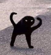 Image result for Cursed Cat Pictures