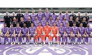 Image result for Austria Wien Fussballklub