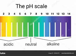 Image result for pH-meter Acid and Base