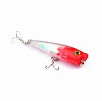 Image result for Popper Lure