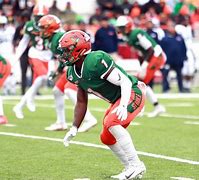 Image result for FAMU Football Team