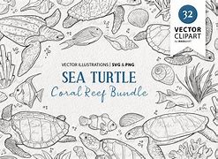 Image result for Sea Corel Vector