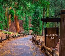 Image result for Sequoia National Park Road Trip