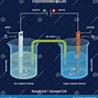 Image result for Electrochemical Cell Structure