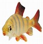 Image result for Pilot Fish PNG