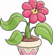 Image result for Plant Drawing