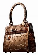 Image result for Most Expensive Handbag