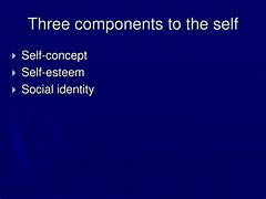 Image result for 3 Components of Self Concept