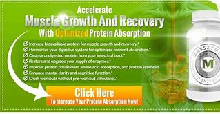 Image result for Myostatin Inhibito