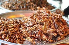 Image result for Insect Chips