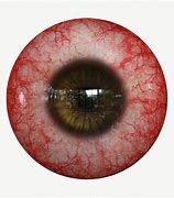 Image result for Eye Texture 4K