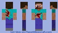 Image result for Survivor Steve Minecraft Skin