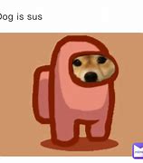 Image result for Sus Cat and Dog