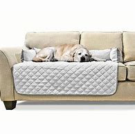 Image result for Dog Mat for Sofa