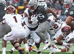 Image result for WSU Sports