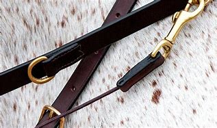 Image result for Martingale Tack