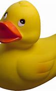 Image result for Sulky Duck