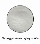 Image result for Maggot Extract