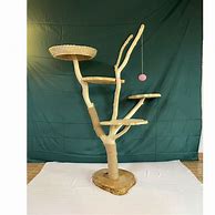 Image result for Wood Cat Tree