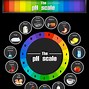 Image result for Light Bulb pH Scale