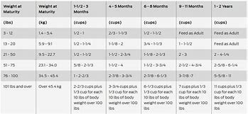 Image result for French Bulldog Feeding Chart