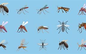 Image result for Insect Emoji