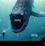 Image result for Scary Sea Creatures