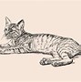 Image result for Cat Laying Down Drawing