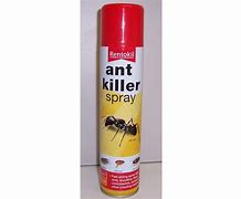 Image result for Ant Killer Spray Concentrate