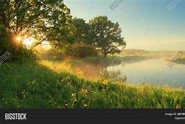 Image result for Sunny Morning Outside