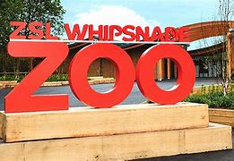 Image result for Whipsnade Zoo Soft Play