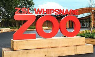 Image result for Places to Eat in Whipsnade Zoo