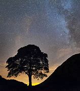 Image result for Sycamore Gap Infrared