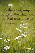 Image result for Simple Everyday Life Quotes