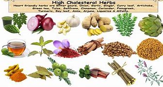 Image result for Herbs for Cholesterol Control