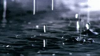 Image result for Rain Gifs Monochrome