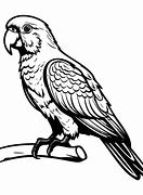 Image result for Minecraft Parrot Black and White